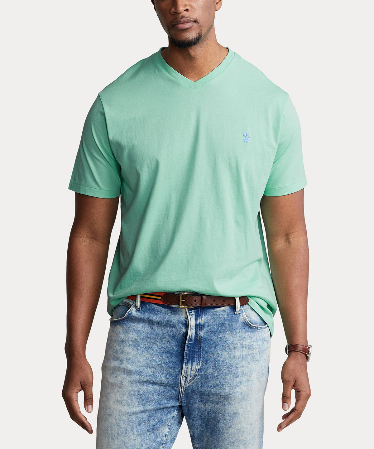 Polo Ralph Lauren Short Sleeve V-Neck Tee Shirt, Men's Big & Tall